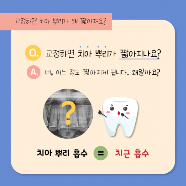 7월_교정_치근흡수_2.png