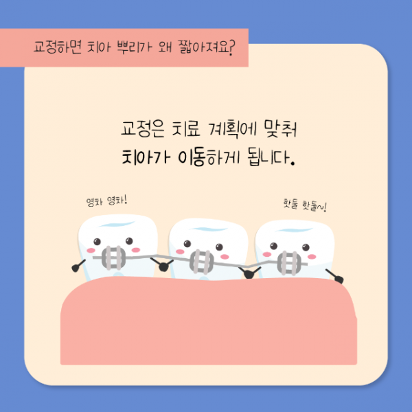 7월_교정_치근흡수_3.png